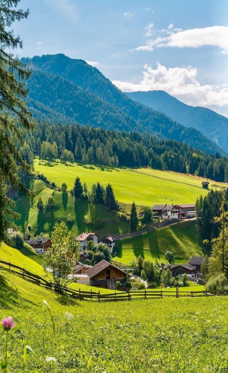 İlan Fotoğrafı